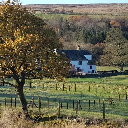 Lower Turnerford Farmhouse Newby  المظهر الخارجي الصورة